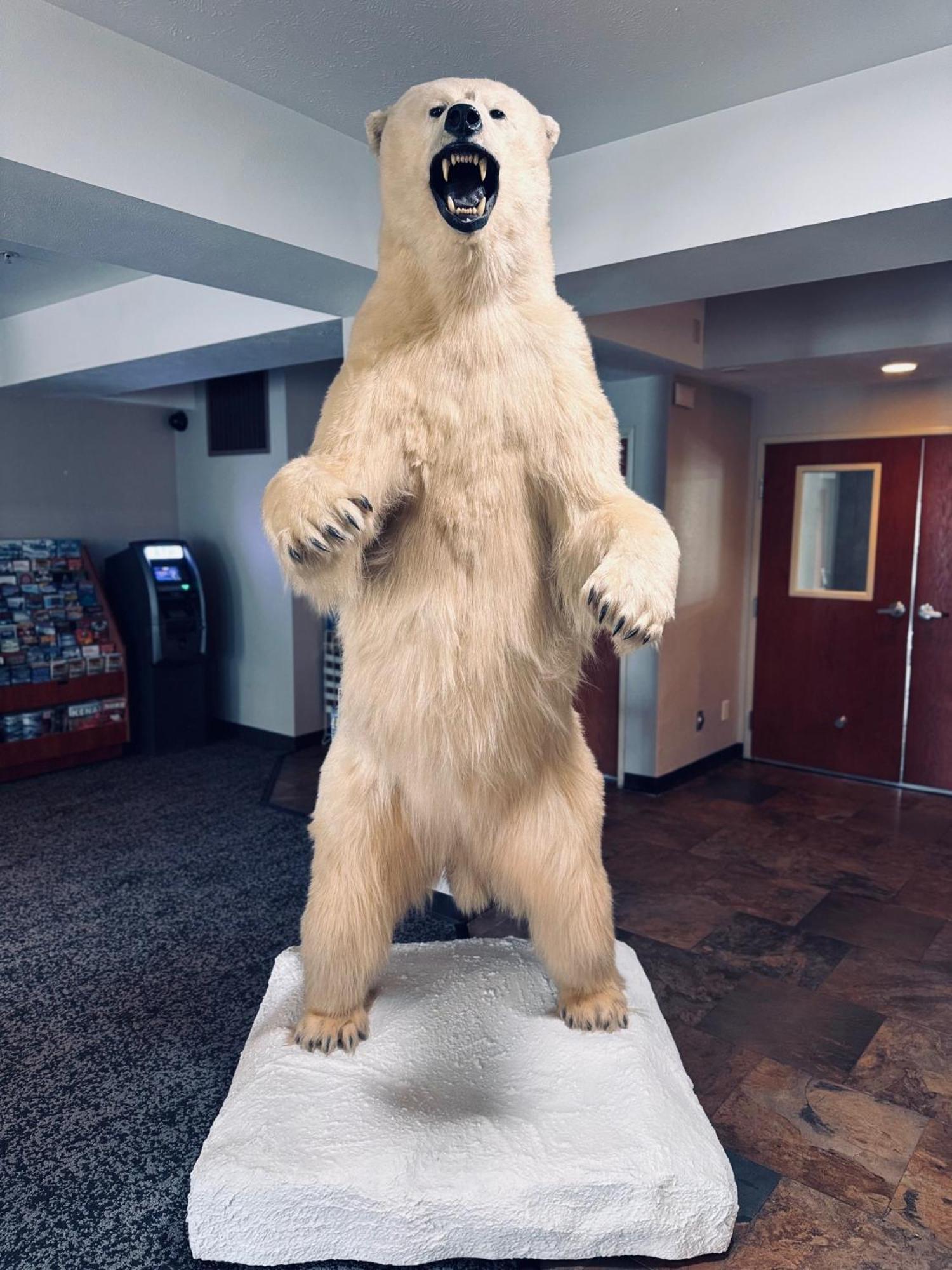 Wyndham Garden Anchorage Airport Hotel Buitenkant foto
